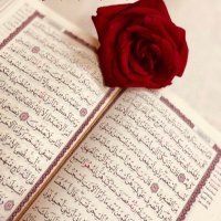 شموخ الدعوة (@shmw5__) 's Twitter Profile