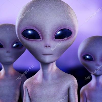 Pele67388334's profile picture. 