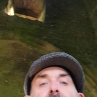 Steve Rufus Bobcat Mackenzie. (@steve_rufus_mac) 's Twitter Profile