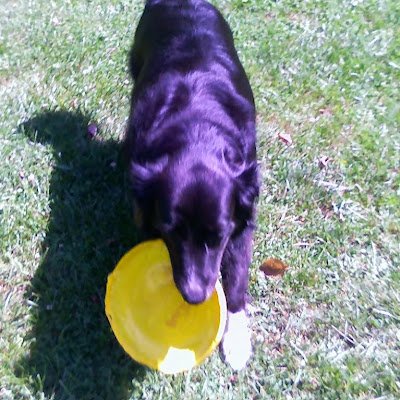 davidinpa62's profile picture. 