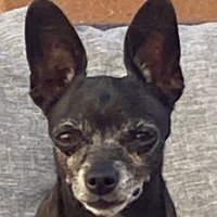 MarioOPz (@maop031) Twitter profile photo