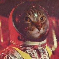 ҜĴ€ŁŁ VƗŞŦΔĐ (@kjellvistad) 's Twitter Profile Photo