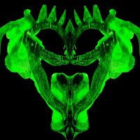 RoRsCHaCH (@sfralof) 's Twitter Profile