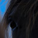 Tammy Thompson - @ttsparky35 - Twitter