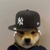 Eugene (@eugene_1337) Twitter profile photo Eugene (@eugene_1337) Twitter profile photo
