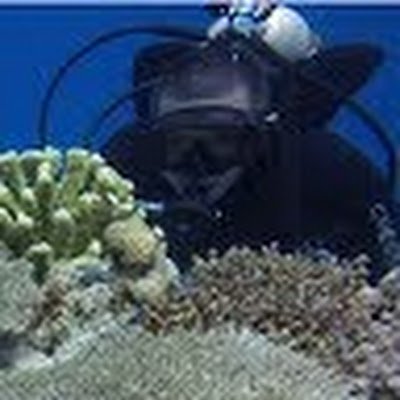 hatch1245's profile picture. 