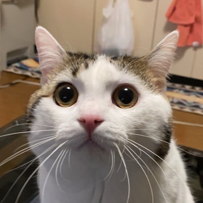 TheStructure's profile picture. 