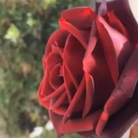 موجب ٥٠ كاش (@ghamdico2007) Twitter profile photo