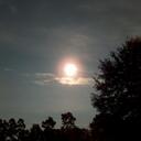 rachel buser - @scarlettami - Twitter