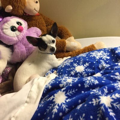 KennethRausch2's profile picture. 