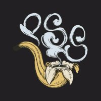 Primate Social Society (@primatessociety) 's Twitter Profile Photo