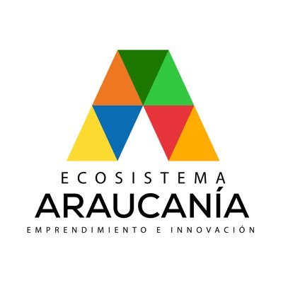 Conjunto de organizaciones público privadas que busca generar mejores condiciones para el emprendimiento e innovación en La Araucanía