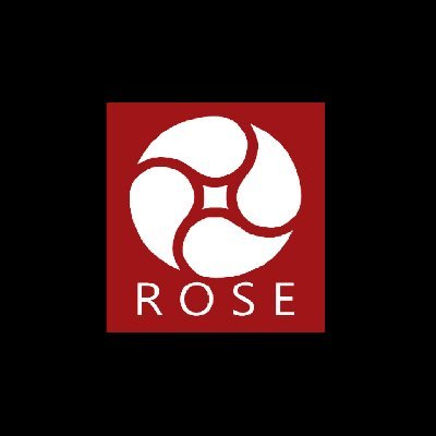 Rose Computers is one of Lynchburg’s first computer networking firms. We specialize in providing computers, networks, software, and applications.