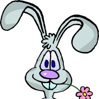 Wise Bunny ๐ฝ (@michael03401860) 's Twitter Profile