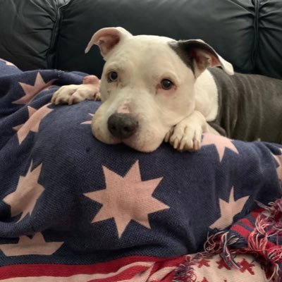 EZ2CY4UNME's profile picture. Lead, Follow or Get Out Of The Way