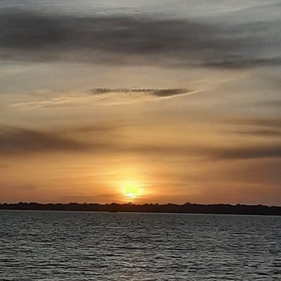 vichouchou22's profile picture. 