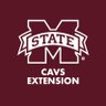 msstateCAVSE's profile picture. 