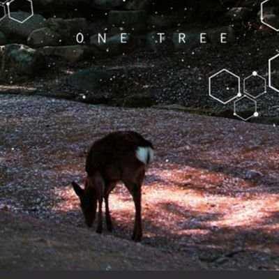 sk3tchpunk's profile picture. I love pineapples