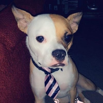 Spoonie1979's profile picture. 