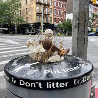 NYC Trash Stories(@StoriesTrash) 's Twitter Profile Photo