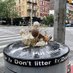 NYC Trash Stories (@StoriesTrash) Twitter profile photo