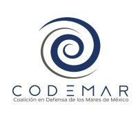 CODEMAR(@codemarmx) 's Twitter Profile Photo