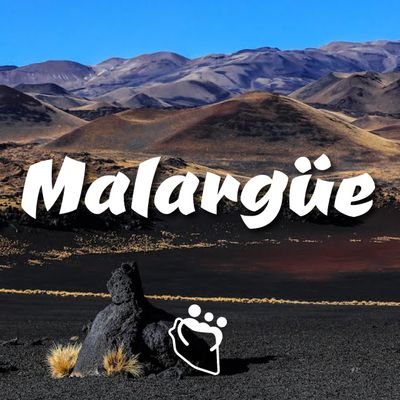 Twitter Oficial de la Dirección de Promoción y Políticas Turísticas de Malargüe
¡Descubrinos! 
Info al 📲+5492604801708 (WhatsApp)