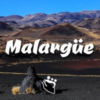 Malargüe Turismo(@MalargueTurismo) 's Twitter Profile Photo