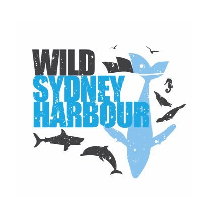 Have you spotted something wild in Sydney Harbour? Tell us about it. #Wildsydneyharbour