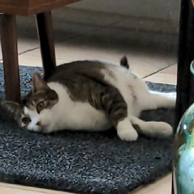 sosamichael's profile picture. 