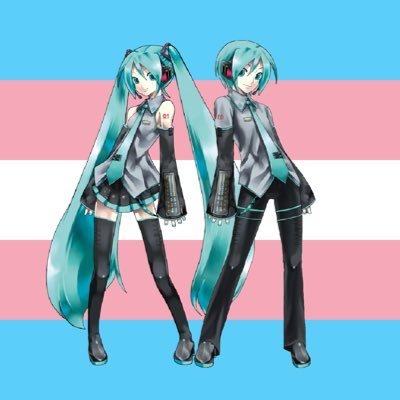 🏳️‍⚧️Trans Goals OTD🏳️‍⚧️ (Open)さんのプロフィール画像