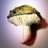 clam4126's profile image