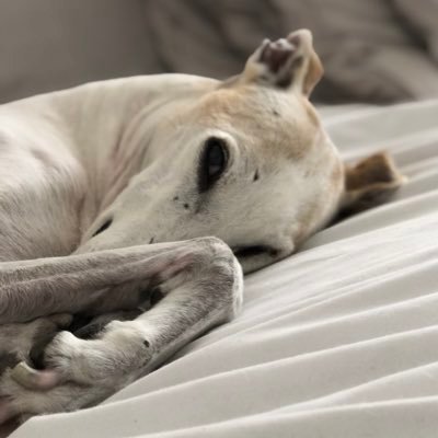 marybengochea's profile picture. what goes around, comes around