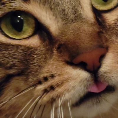 MurphyLee613's profile picture. Cannabis Reviews & Stuff