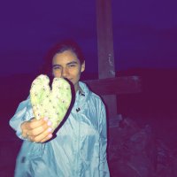 Mónica Alexandra (@wildlifemoon) 's Twitter Profile