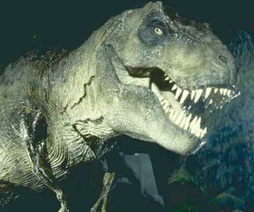 Old fashioned tyrannosaurus trying to make it in a strange new world. Live. Love. Eat ALL the goats.