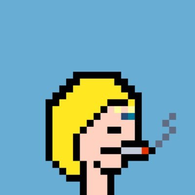 Cryptopunkwifes's profile picture. The first CryptoPunk Wifes NFT collection. 3 drops every day starting price 20$. Each 3 drop for each day will have +10% floor price from drops the day before