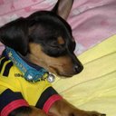 Jorge Acosta Strobel - @AndyStrobel - Twitter