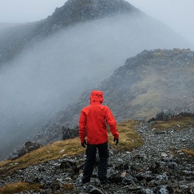 LeungSherlok's profile picture. MRes Evolution graduate from the University of Southampton