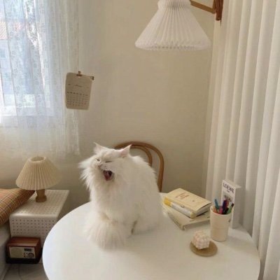 xhyunjinhwang's profile picture. 