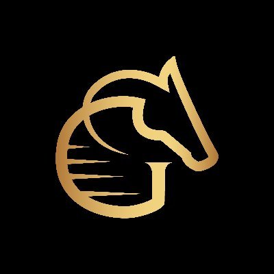 Dedicated to the training and breeding of ZED Run digital horses...