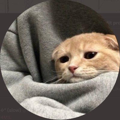 PUMPKlN_PATCH's profile picture. (;-;)