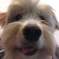 Fernando Molina (@fergmolina) 's Twitter Profile Photo Fernando Molina (@fergmolina) 's Twitter Profile Photo