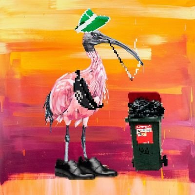 jpearsonz's profile picture. 