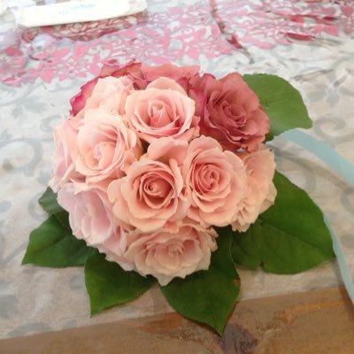 everlasting019's profile picture. 本質を伝える超感覚霊媒体質の心理占星術&タロット星読み師⭐某占い店所属ですがこちらは個人アカ。 鑑定歴28年5000人以上🌟夢先案内人に導かれRPGのような人生。ツインソウルに出逢いツインフレームが繋ぎツインレイに逢う。結魂&統合完了。2024.12大天使ミカエルより天使見習い任命👼 ツインセッション☺水瓶座♒