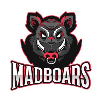 Team Madboars