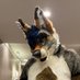 MCFCedar Wolfyote (@cedarwolfyote) Twitter profile photo MCFCedar Wolfyote (@cedarwolfyote) Twitter profile photo