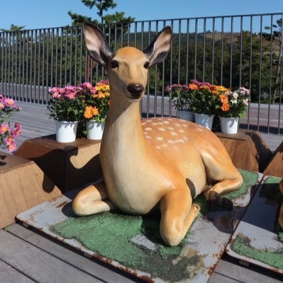 OrangeD60742290's profile picture. 旅行写真家📷 テーマは旅行×写真×アート📷🎨✈️ 旅行大好き⚓️ Travel Photographer based in Tokyo⛩️🎐🇯🇵👘🗼Travel +Art+Photography ✈️⛩️📷Travel Tips 🌠旅行に役立つ情報も追加していきたいと思っています🥰ホテル飛行機✈️