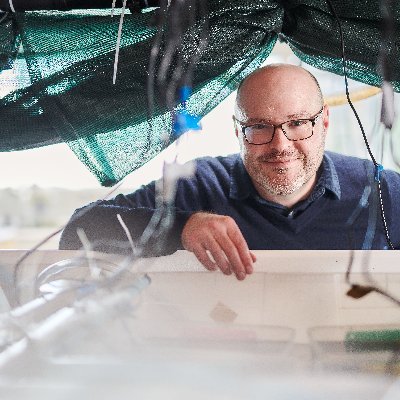 Aotearoa|New Zealand. Kelp forests, coral reefs, climate change. Te Herenga Waka|Victoria University of Wellington Senior Lecturer. Father, craft beer lover