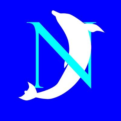 New Dolphin